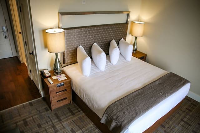 Room, 1 King Bed