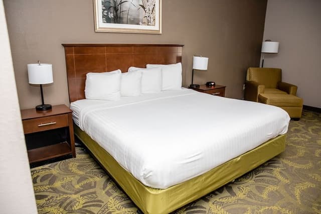 Standard Room, 1 King Bed