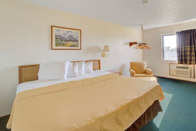 Room, 1 King Bed, Non Smoking
