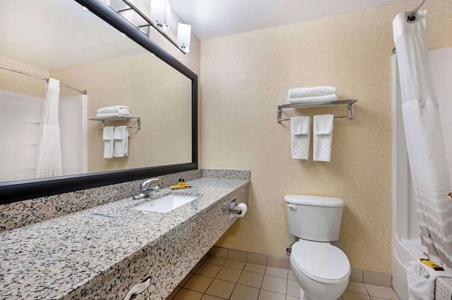 Suite, 1 King Bed, Non Smoking, Refrigerator & Microwave (Living Room;with Sofabed)