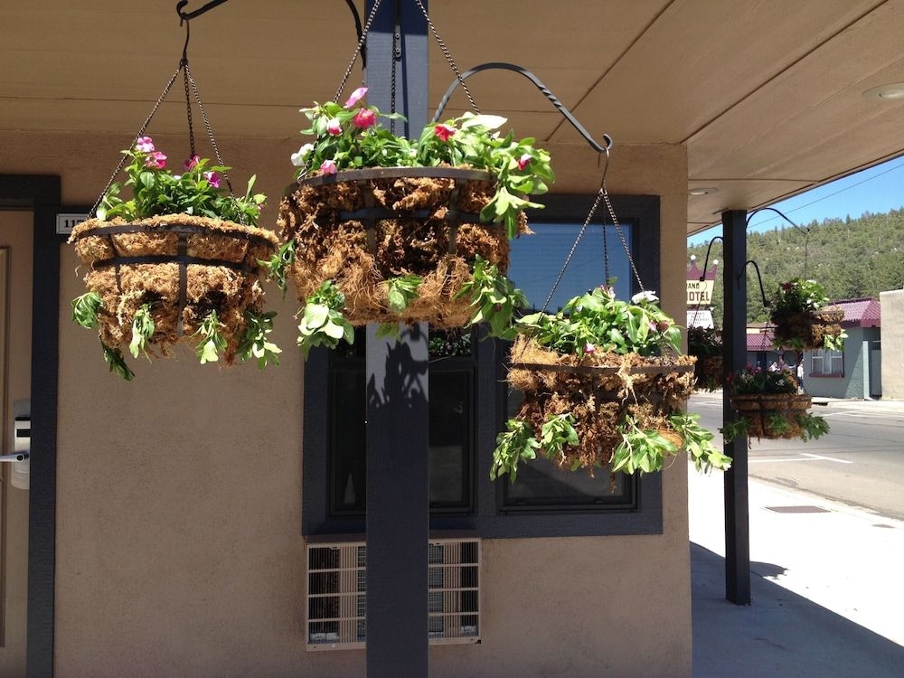 Rodeway Inn & Suites Downtowner-Rte 662