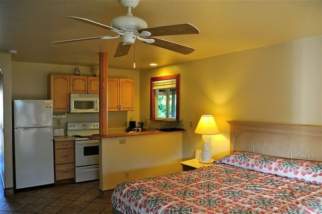 Standard Room, 1 King Bed, Kitchen
