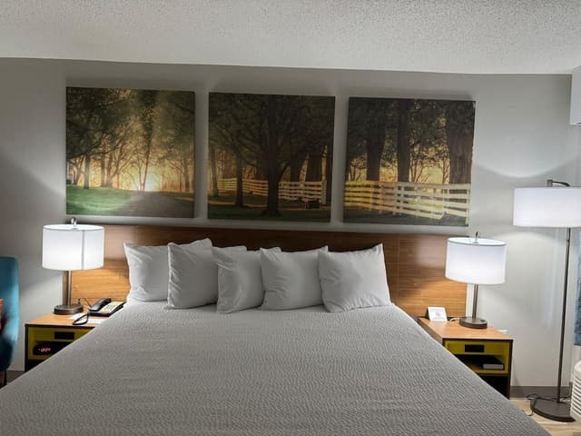 Room, 1 King Bed, Mobility Accessible, Non Smoking (Bathtub W/grab Bars)