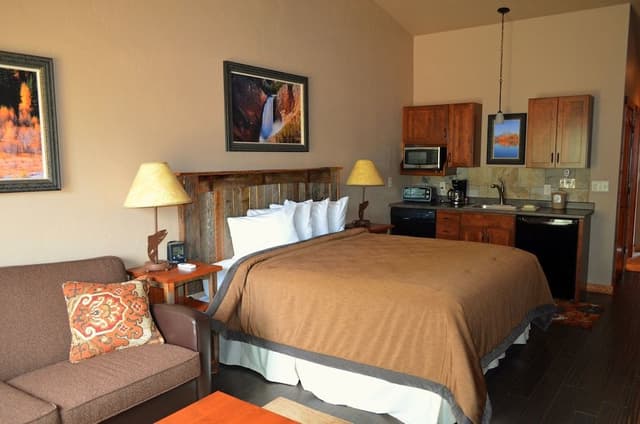 Standard Room, 1 King Bed with Sofa bed, Non Smoking