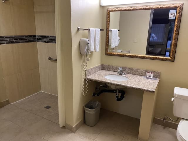 Room, 1 King Bed, Accessible