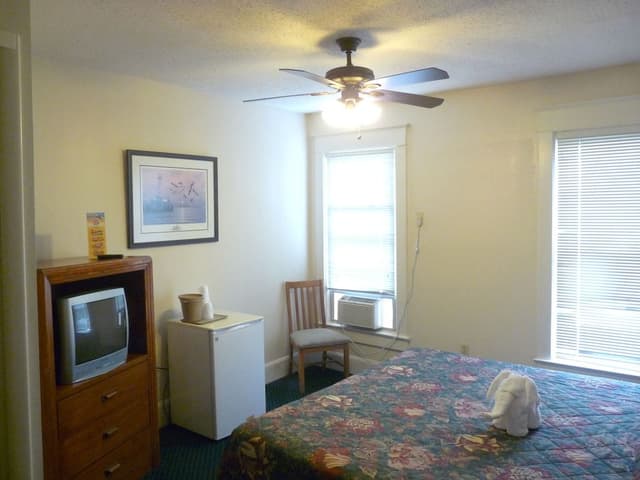 Standard Room, 1 King Bed, Ocean View
