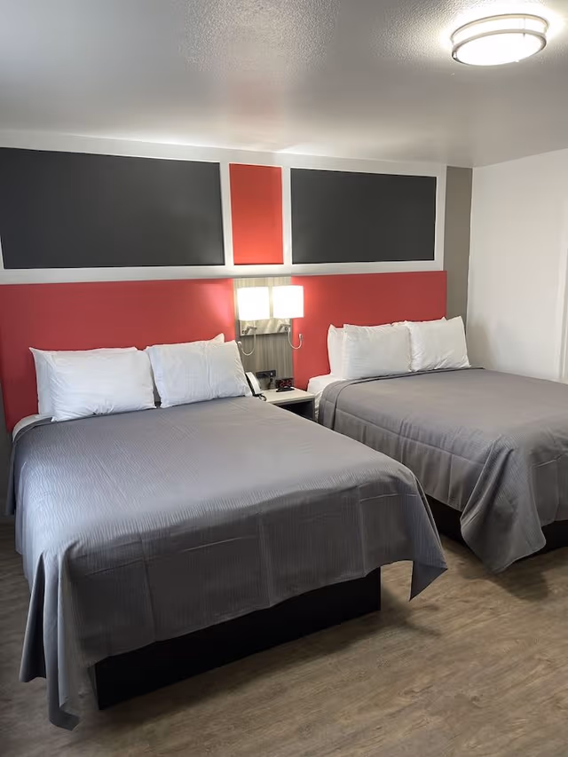 Standard Single Room, 2 Queen Beds