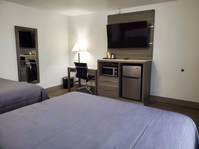 Standard Single Room, 2 Queen Beds