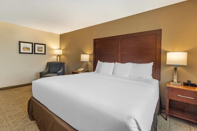 Room, 1 King Bed, Accessible Bathtub, Non Smoking