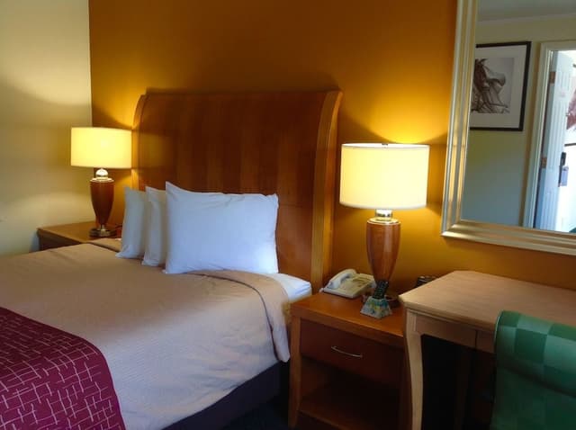 Standard Room, 1 Queen Bed