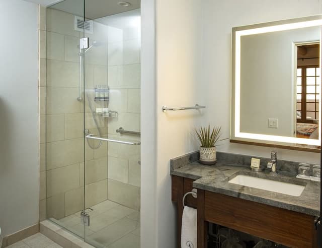 Superior Room, 1 King Bed, Accessible