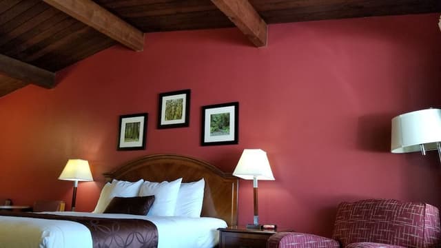 Standard Room, 1 King Bed, Refrigerator & Microwave