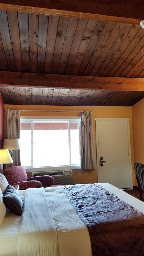 Standard Room, 1 King Bed, Refrigerator & Microwave