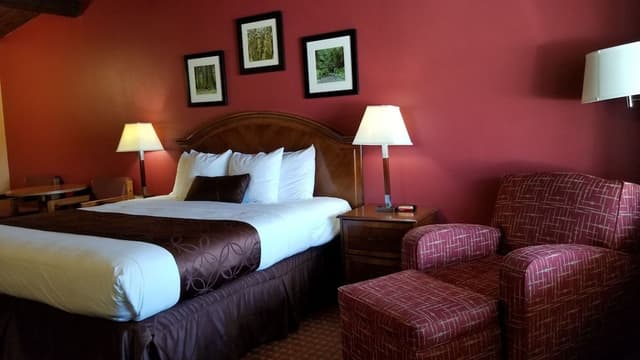 Standard Room, 1 King Bed, Refrigerator & Microwave