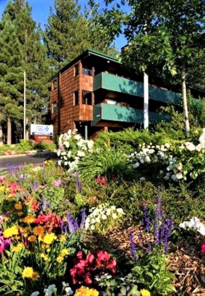 Snow Lake Lodge Snow Lake Lodge