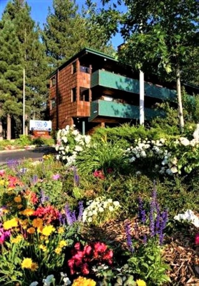 Family Condo, 1 Bedroom, Kitchenette (No A/C)
