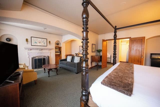 Standard Suite, 1 King Bed (Library Suite) (No AirConditioning)