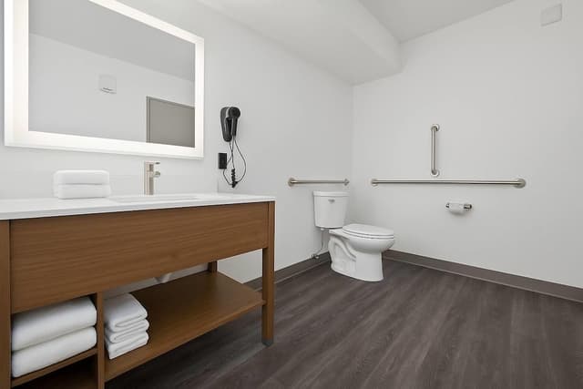 Room, 1 Queen Bed, Mobility Accessible, Non Smoking (Roll-in Shower)