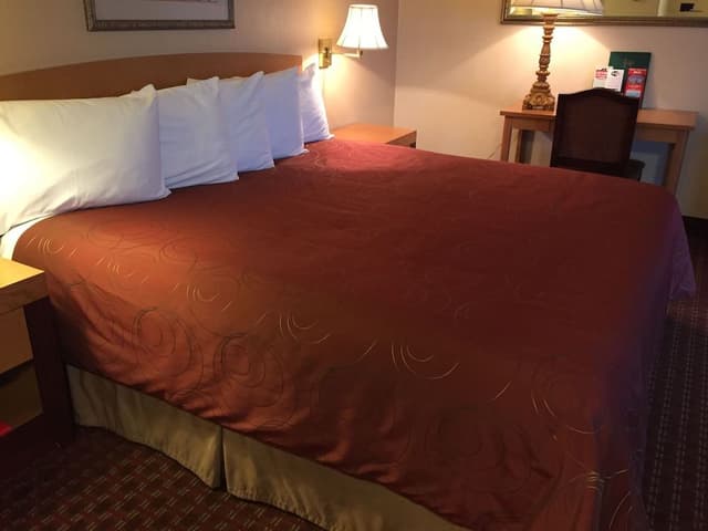 Queen Bed Non Harbor View Room