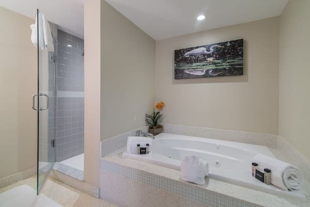 Junior Spa King Suite
