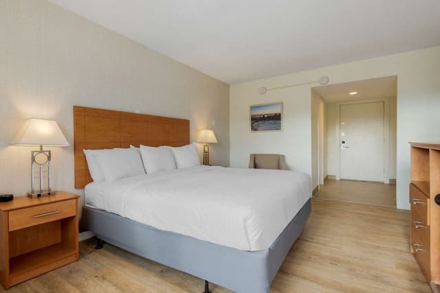 King Room w/ Balcony (No Pets)