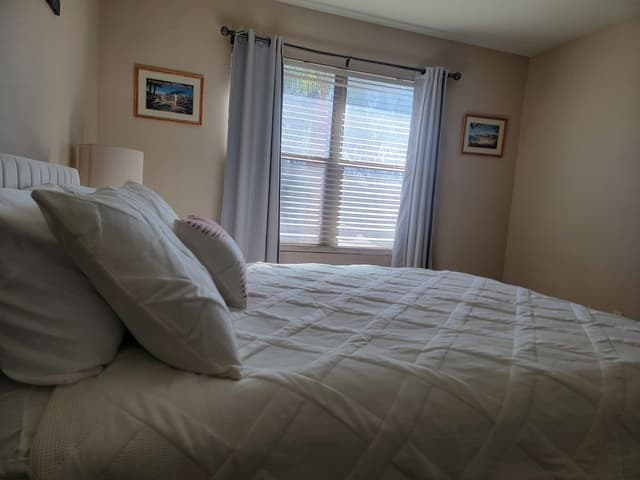 Room, 1 Queen Bed (Havana Room)