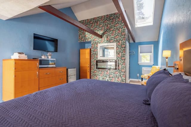 Deluxe Single Room, 1 King Bed