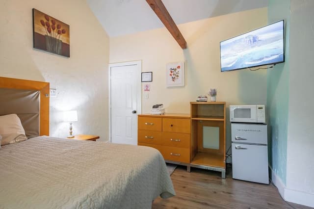Deluxe Single Room, 1 King Bed