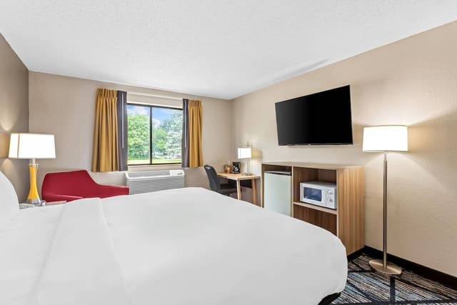 Standard Room, 1 King Bed, Non Smoking