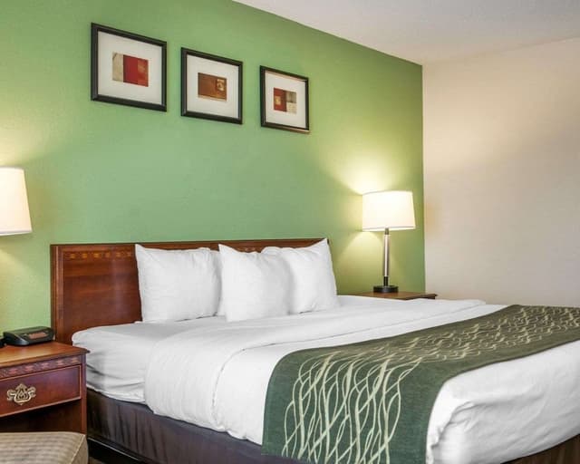 Standard Room, 1 King Bed, Accessible, Non Smoking (Accessible Tub)