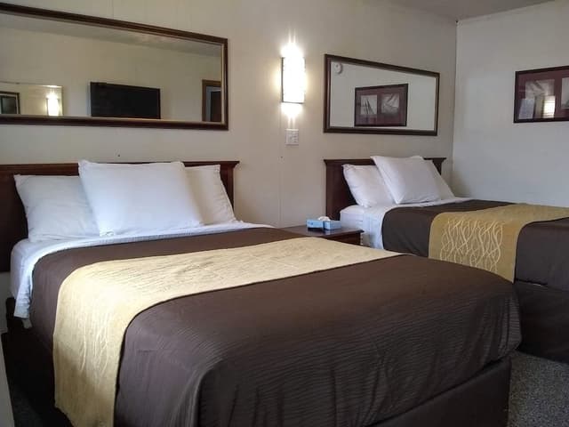 Standard Room, 2 Double Beds, Non Smoking
