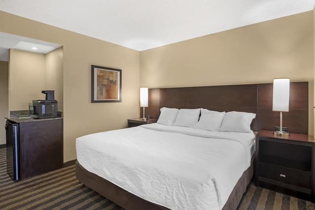 Standard Room, 1 King Bed, Non Smoking, Refrigerator & Microwave