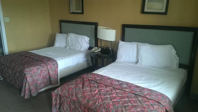 Room, 2 Double Beds