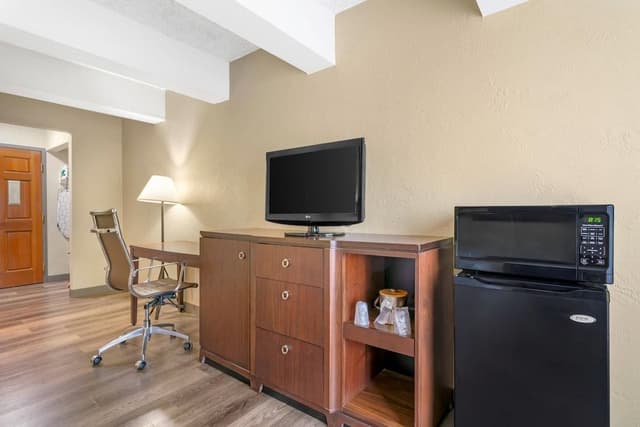 Room, 1 King Bed, Roll-in Shower, Non Smoking