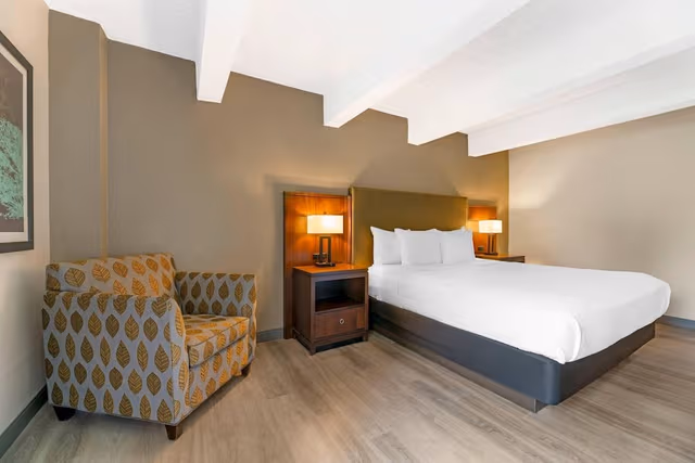 Suite, 1 King Bed with Sofa bed, Non Smoking