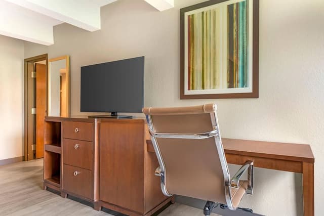 Suite, 1 King Bed with Sofa bed, Non Smoking