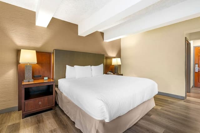 Room, 1 King Bed, Roll-in Shower, Non Smoking