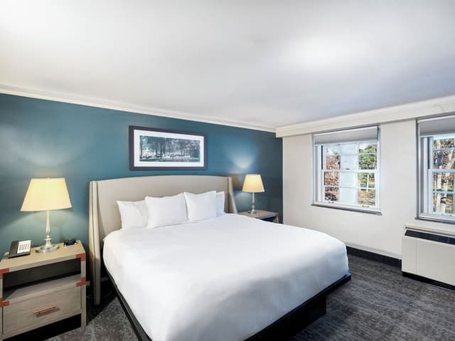 Standard Room, 1 King Bed