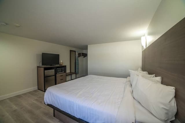 Room, 1 King Bed