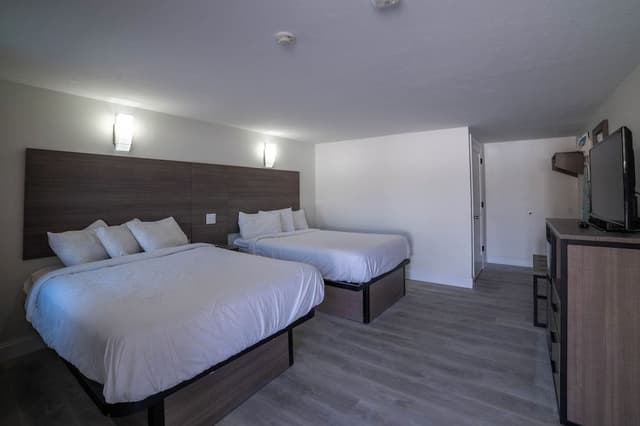 Room, 1 King Bed