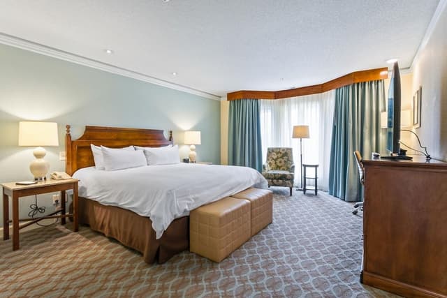 Deluxe One Bedroom Condo