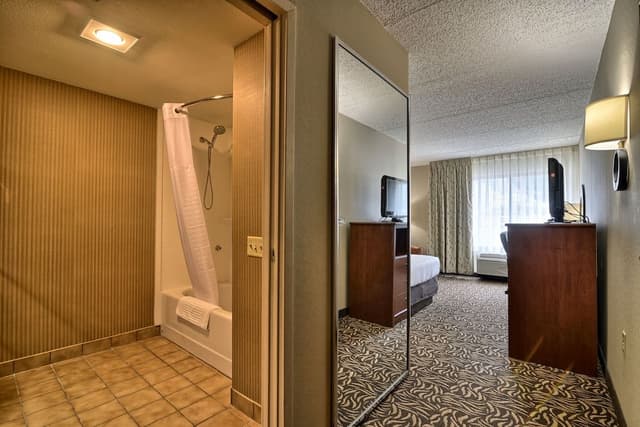 Suite, 1 King Bed with Sofa bed, Non Smoking
