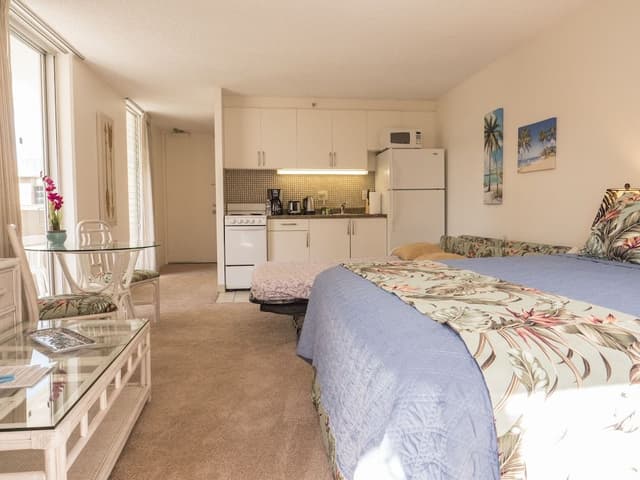Standard Studio, 1 Queen Bed with Sofa bed, Kitchen (F05A11)