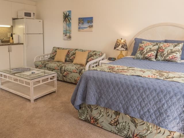 Standard Studio, 1 Queen Bed with Sofa bed, Kitchen (F05A11)