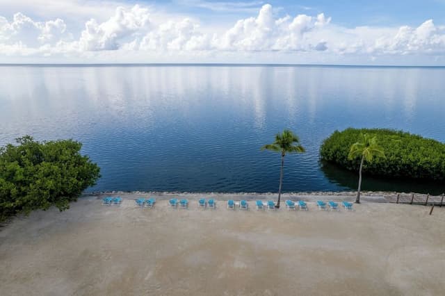 Oceanfront King Suite (Accessible)
