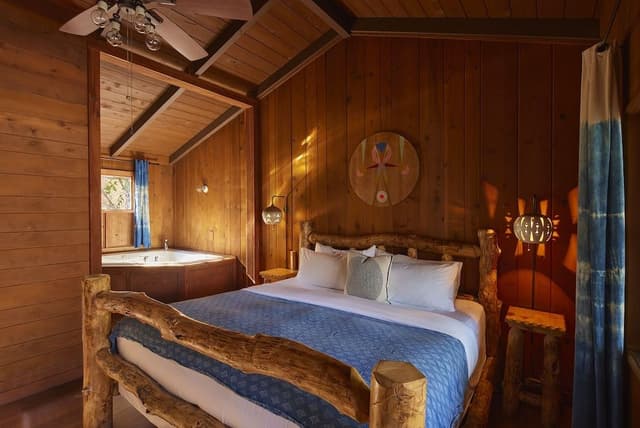 Premium Room, 1 King Bed, Bathtub