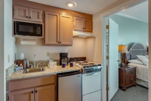 Studio, Multiple Beds (River Suite 305)