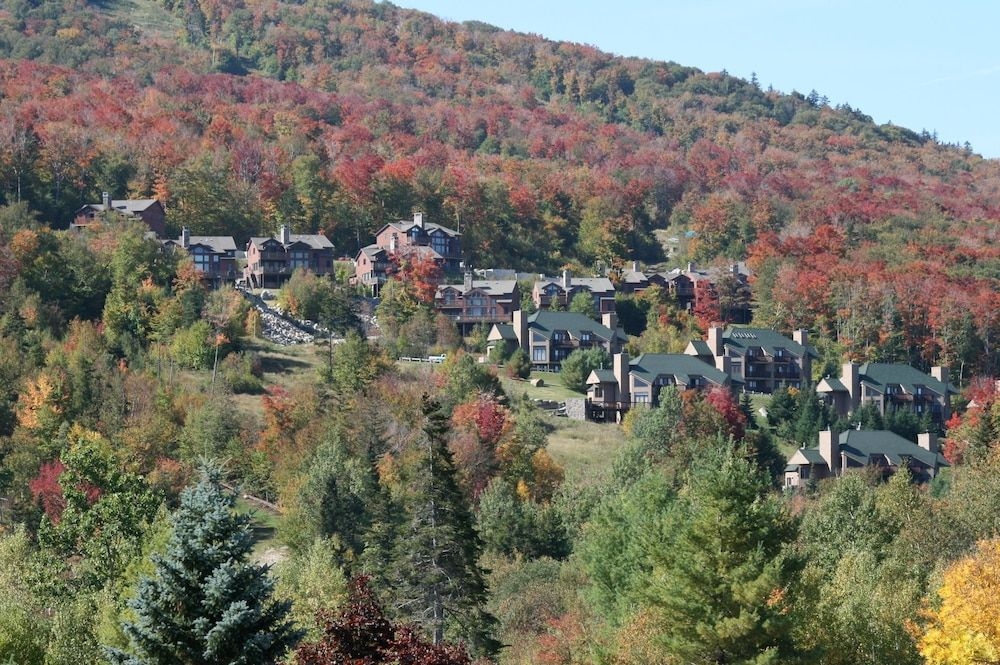 TOWNHOMES AT BRETTON WOODS2