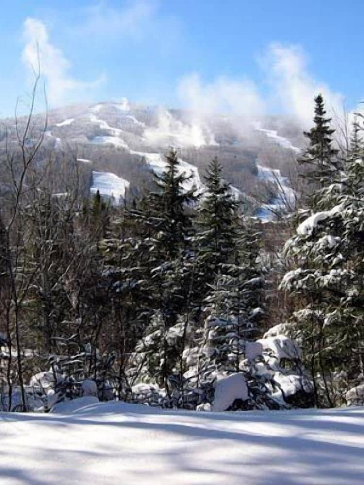 TOWNHOMES AT BRETTON WOODS TOWNHOMES AT BRETTON WOODS