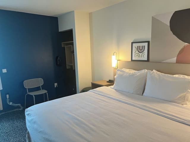 Room, 1 King Bed, Accessible (Roll-In Shower)